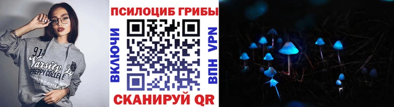 купить  сайты  Карачев  Галлюциногенные грибы мицелий 
